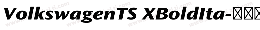 VolkswagenTS XBoldIta字体转换